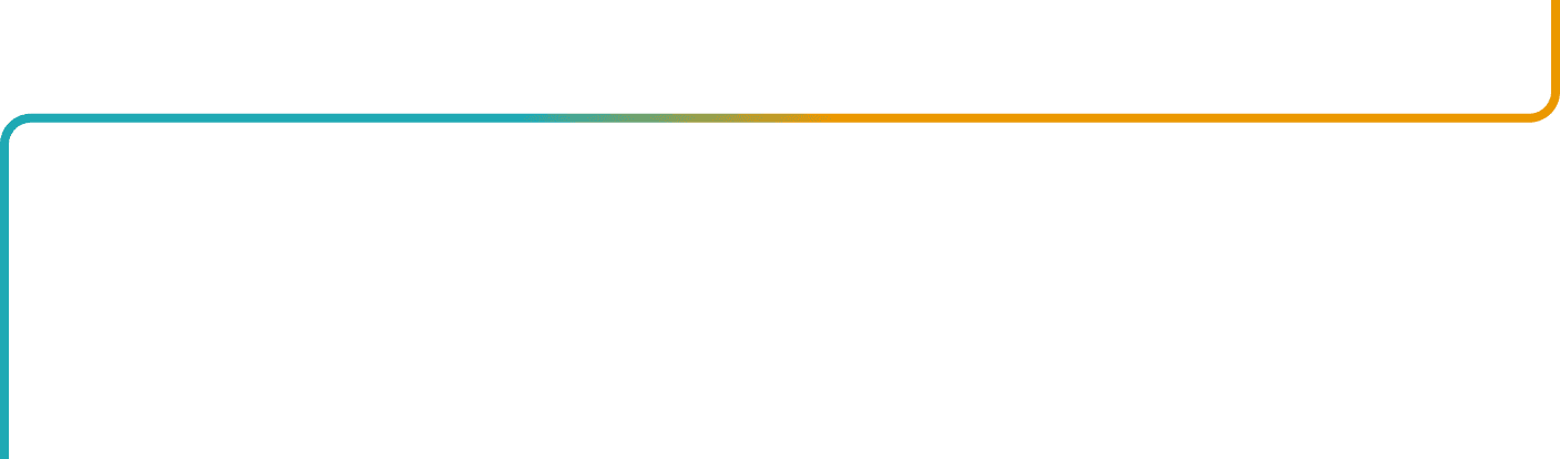 Timeline