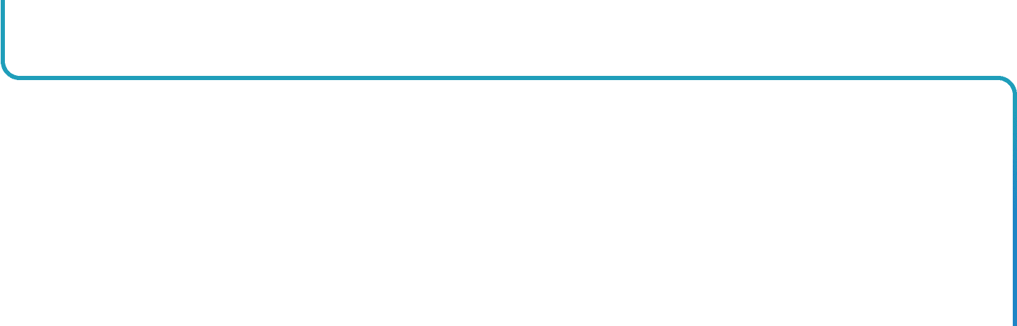 Timeline