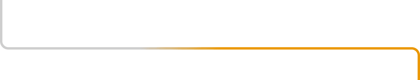 Timeline